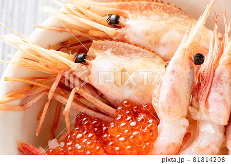 小海老類