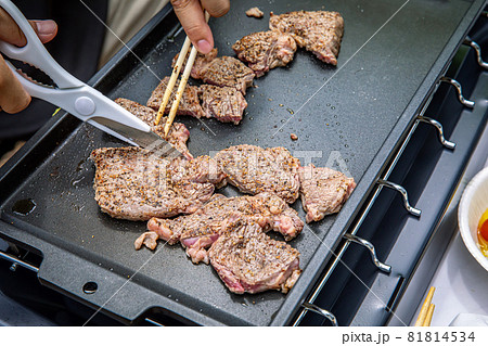 バーベキュー、キャンプ飯、外で過ごす休日、ガーリックステーキ、アウトドア料理 81814534