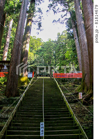 鳳来山東照宮 鳳来山東照宮 81814679