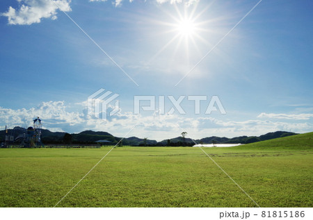 夏の午後の太陽と青い空と白い雲と公園の明るい芝生の風景 81815186