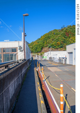 下久保ダム　天端からの景色　秋の風景　紅葉の季節　　 81815194