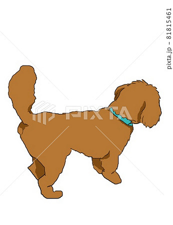 背中を向けて何かを見つけたトイ プードルのイラスト素材 背中を向けて何かを見つけたトイ プードルのイラスト素材