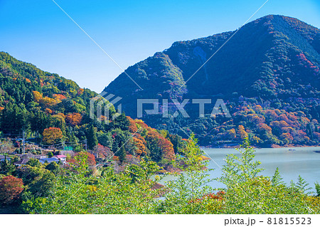 神流湖湖畔　金毘羅橋付近　秋の風景　紅葉の季節　　 81815523