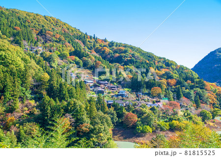 神流湖湖畔　金毘羅橋付近　集落　秋の風景　紅葉の季節　　 81815525