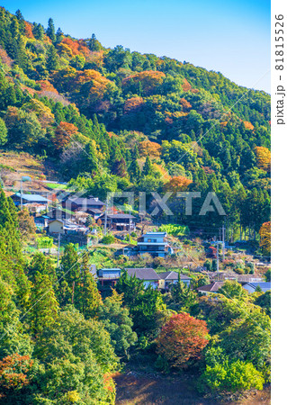 神流湖湖畔　金毘羅橋付近　集落　秋の風景　紅葉の季節　　 81815526