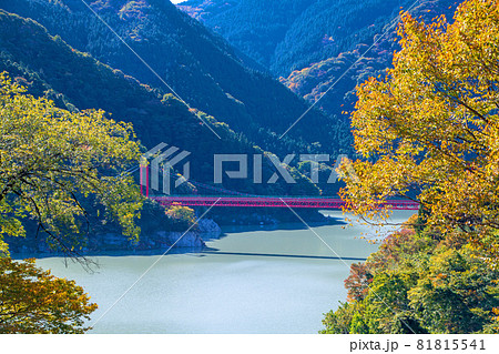 神流湖湖畔 金毘羅橋 秋の風景 紅葉の季節   神流湖湖畔 金毘羅橋 秋の風景 紅葉の季節   81815541