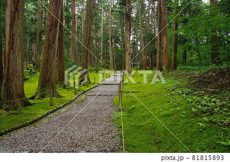 白山平泉寺 三宮への参道 白山平泉寺 三宮への参道 81815893