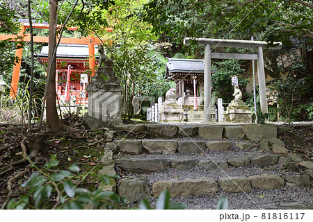 大豊神社末社 大国社 阿吽の狛鼠 大豊神社末社 大国社 阿吽の狛鼠 81816117