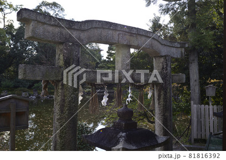 京都御苑　厳島神社　唐破風鳥居 81816392