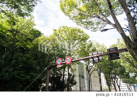 甲州街道　電気通信大学の前　京王線調布駅北口　東京都調布市 81816513