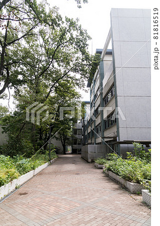 電気通信大学 キャンパス 東京都調布市 電気通信大学 キャンパス 東京都調布市 81816519