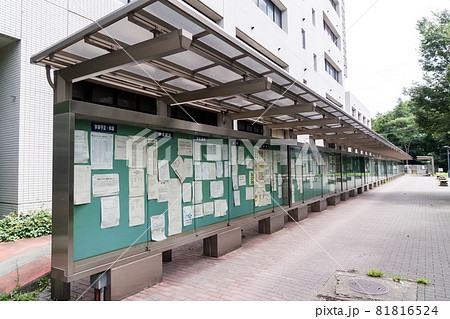 電気通信大学のキャンパス 長い掲示板 東京都調布市 電気通信大学のキャンパス 長い掲示板 東京都調布市 81816524