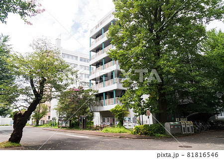 電気通信大学のキャンパス　西6号館　路地と建物と木々　東京都調布市 81816546