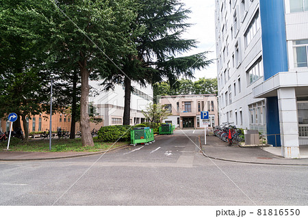 電気通信大学のキャンパス 西5号館 第2体育館 東京都調布市 電気通信大学のキャンパス 西5号館 第2体育館 東京都調布市 81816550