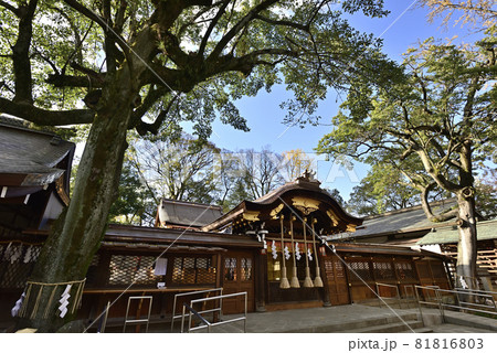 護王神社　中門 81816803