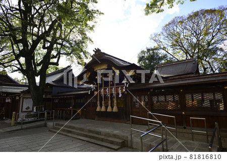 護王神社 中門 護王神社 中門 81816810