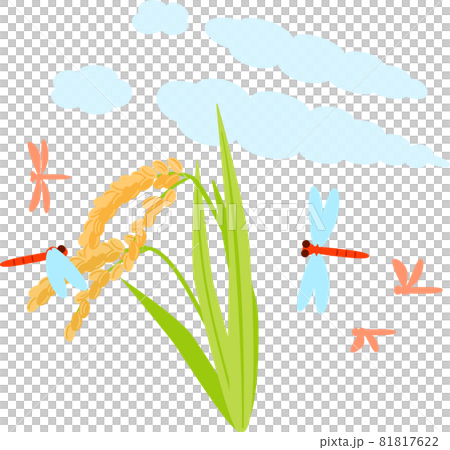 稲穂と赤とんぼ 81817622