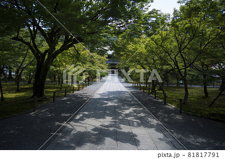 南禅寺の参道 81817791