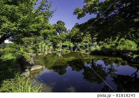 舞鶴公園　田辺城跡　心種園　京都府舞鶴市 81818245