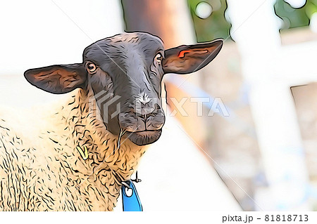 パステル調 ”ヒツジ 観光牧場” イラストイメージ パステル調 ”ヒツジ 観光牧場” イラストイメージ 81818713