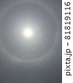 太陽の輝き 81819116