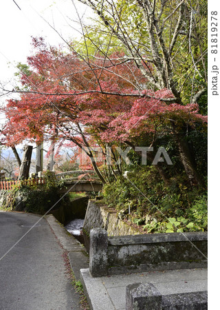熊野若王子神社 81819278
