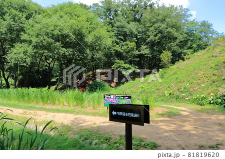 埼玉県比企郡鳩山町　赤沼　里山の風景　（愛郷の里） 81819620