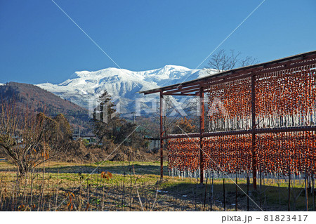 吊るし柿と新雪の蔵王連峰 吊るし柿と新雪の蔵王連峰 81823417