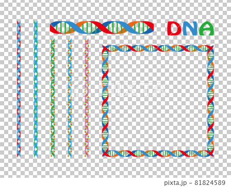 背景素材 Dna遺伝子のデザインイラスト 飾り罫線とフレームのセット ベクターのイラスト素材 8145