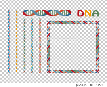 背景素材 DNA遺伝子のデザインイラスト 飾り罫線とフレームのセット ベクター 背景素材 DNA遺伝子のデザインイラスト 飾り罫線とフレームのセット ベクター 81824590