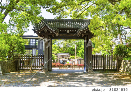 京都御苑 下立売御門 京都御苑 下立売御門 81824656
