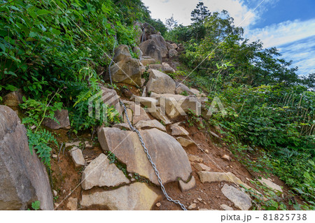苗場山の登山道 苗場山の登山道 81825738