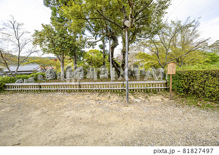 春の大覚寺(京都)大沢池エリア、石仏群 春の大覚寺(京都)大沢池エリア、石仏群 81827497