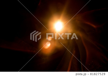 Abstract Natural Sun flare on the black 81827529