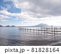 冬の支笏湖 81828164