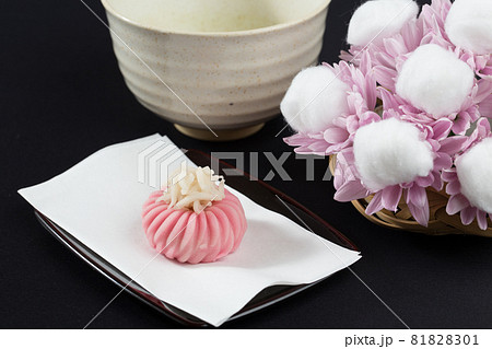 和菓子 着せ綿 和菓子 着せ綿 81828301