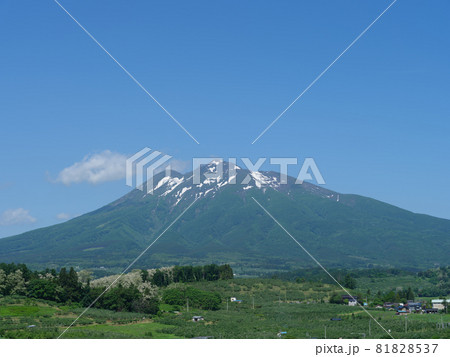 晴れた6月の岩木山 81828537