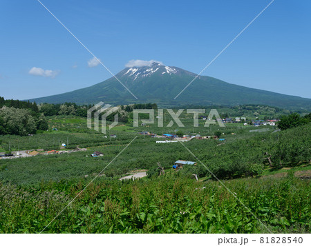 晴れた6月の岩木山 晴れた6月の岩木山 81828540