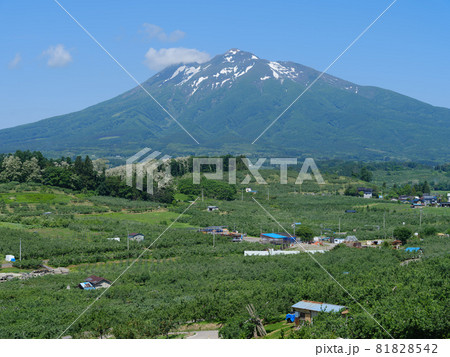晴れた6月の岩木山 81828542