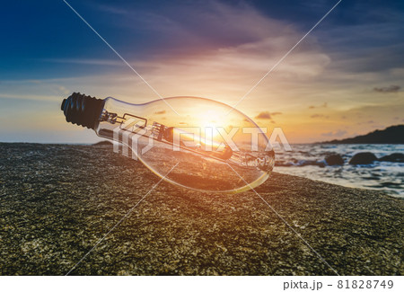 Light bulb trash on the beach with sunlight. 81828749