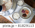 海キャンプの朝 81829113