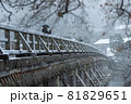 雪の渡月橋① 81829651