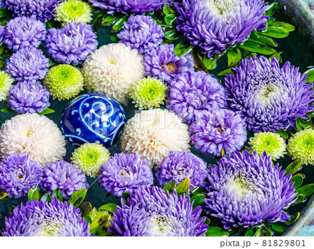 カラフルで楽しい花手水の写真素材 カラフルで楽しい花手水の写真素材