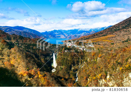 栃木県日光市　明智平展望台の紅葉 81830658