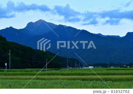 北杜市武川町、甲斐駒の麓、刈入時を迎えた稲田 81832702