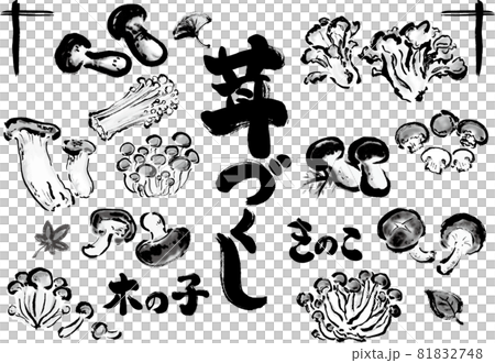 Mushroom hand-painted illustration set of various mushrooms Mushroom hand-painted illustration set of various mushrooms 81832748