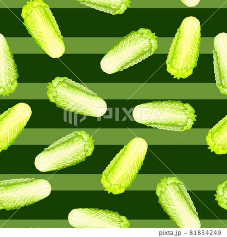 Seamless pattern Chinese cabbage on stripes background. Minimalism ornament with lettuce. 81834249