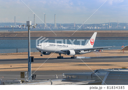 【羽田空港第二ターミナル　JAL機の着陸】 81834385