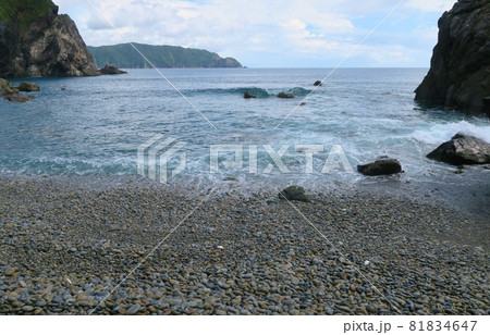 夏のホノホシ海岸　鹿児島 81834647