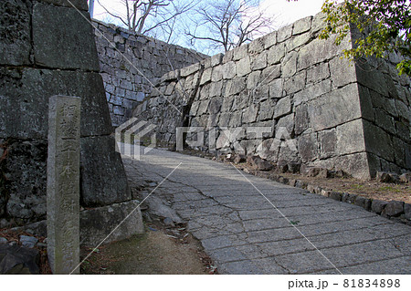 香川県丸亀市　国指定史跡　丸亀城跡（亀山公園）丸亀城の三の丸から本丸への石垣 81834898